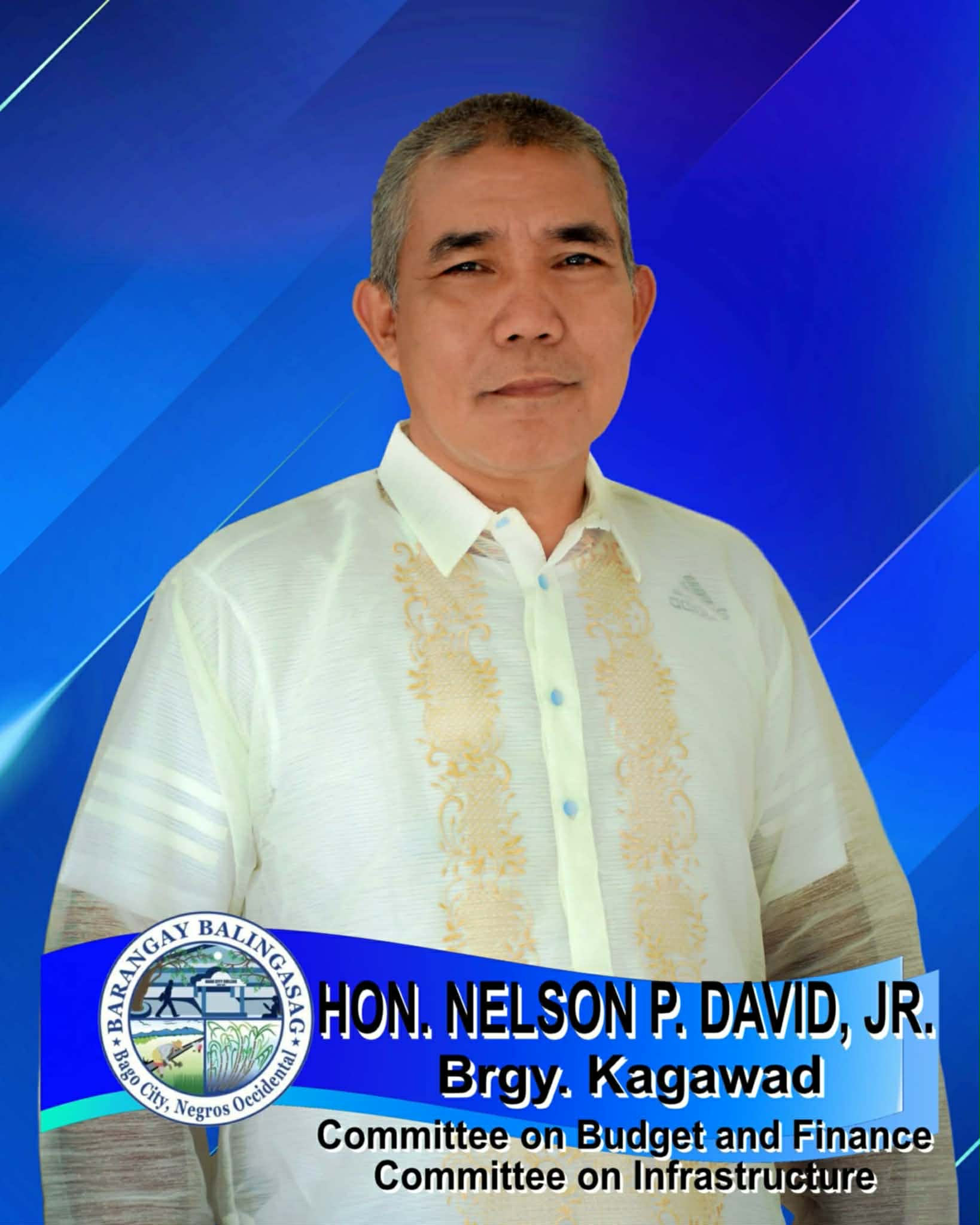 Hon. NELSON P. DAVID, JR.